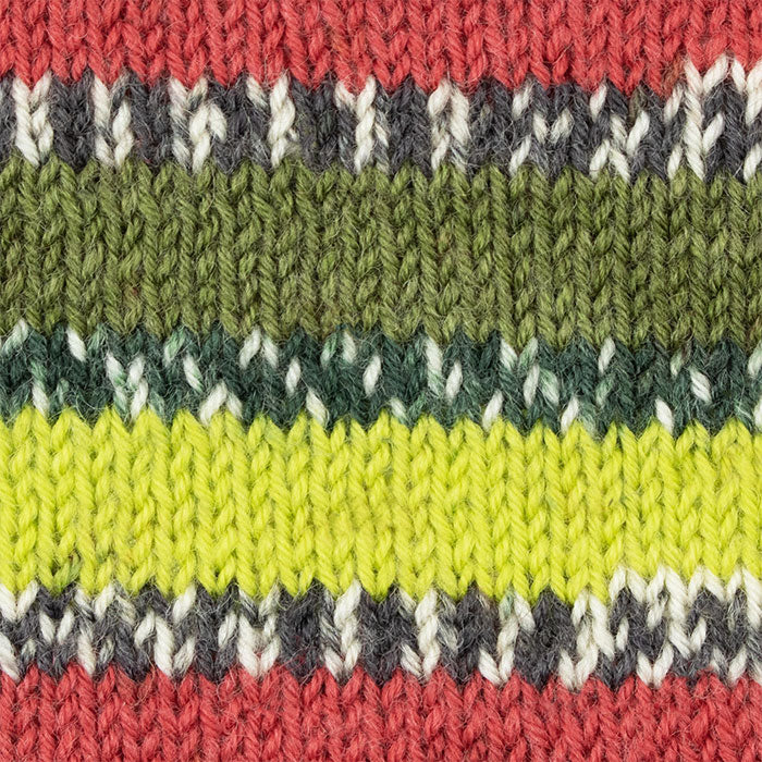 West Yorkshire Spinners Signature 4 Ply Country Birds - Image 13